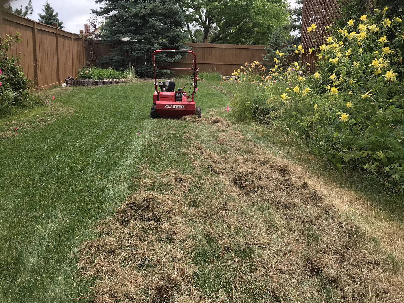 Power Raking - Colorado Lawn Specialists